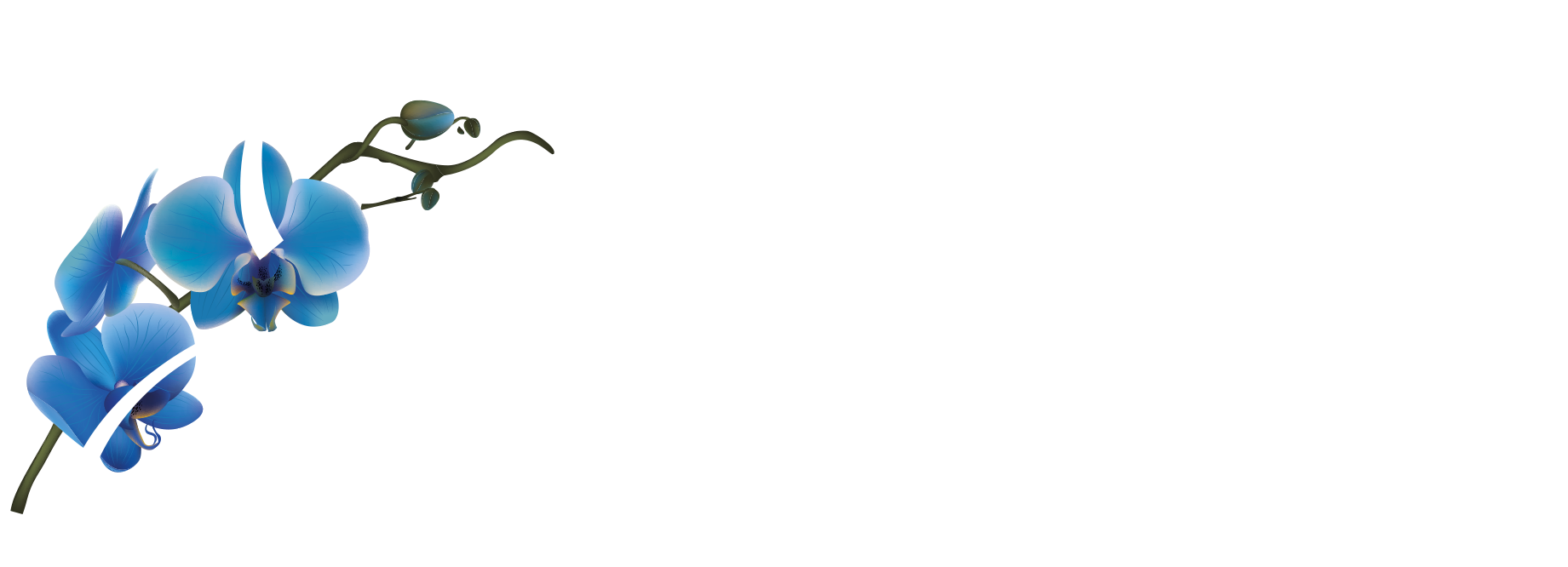 Au Jardin d'Eden